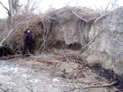 Erosion along the berm at Lake Tecumseh