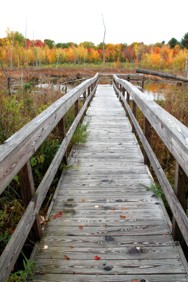 Stephen Young Marsh Trail
