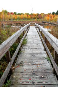 Stephen Young Marsh Trail