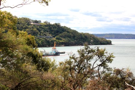 Taronga-Middle-Head-060716-025