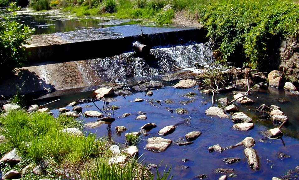 Centreville Dam before removal - Centreville, MD