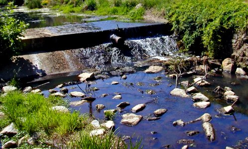Centreville Dam before removal - Centreville, MD