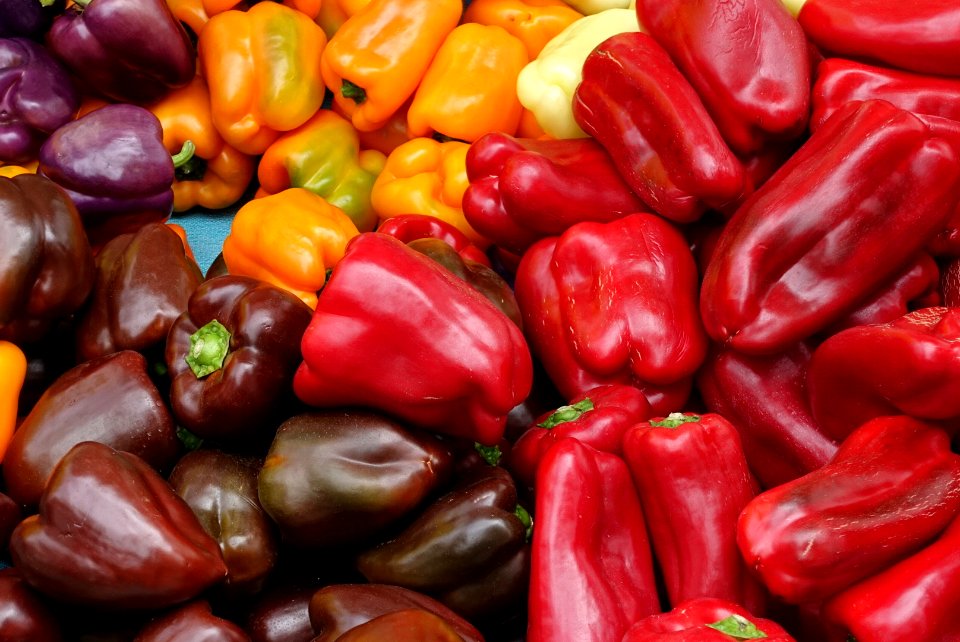 Farmer's Market Summer Colors