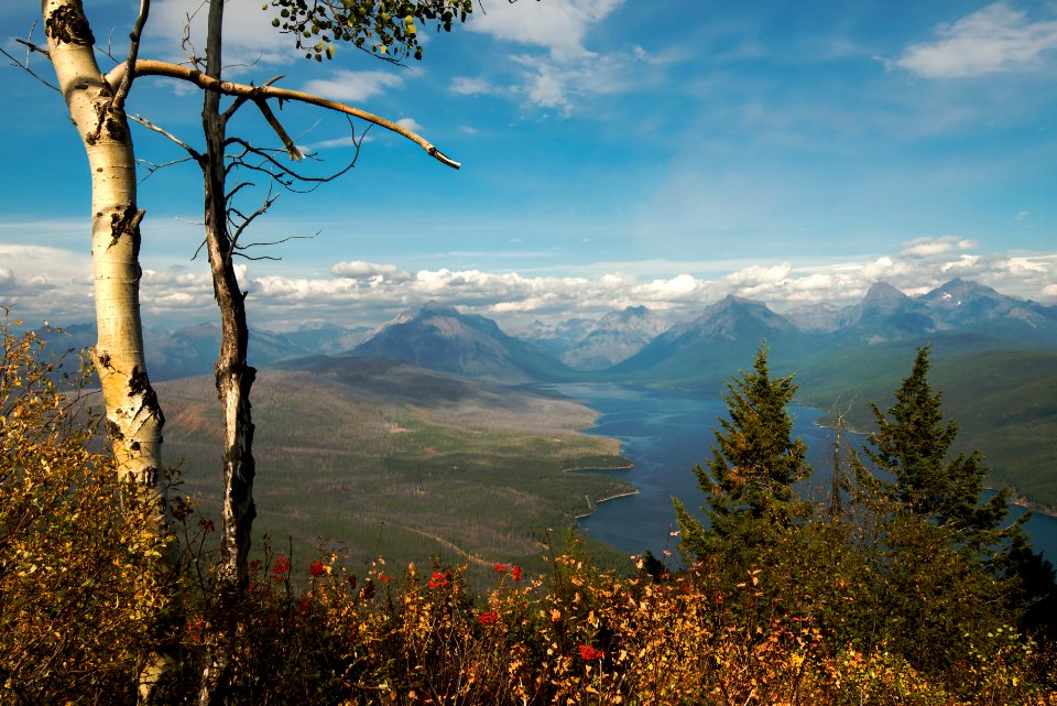 Apgar Lookout