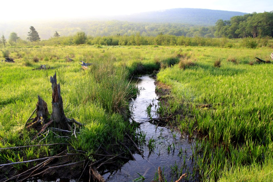 Little Blackwater River Headwaters