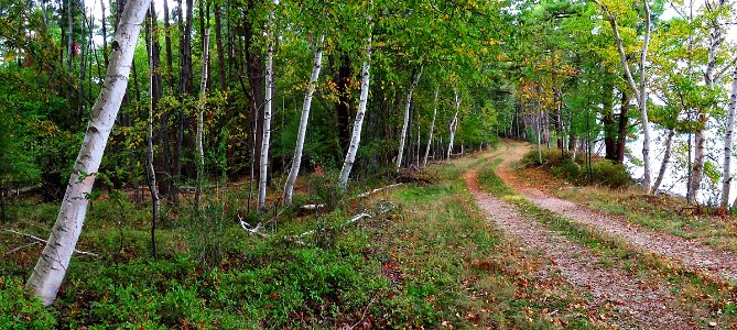 Autumn at Great Bay National Wildlife Refuge