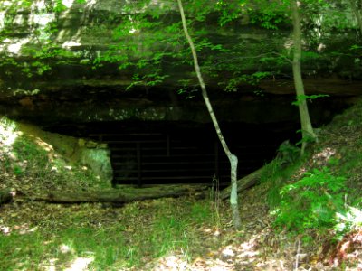 Gated bat hibernaculum