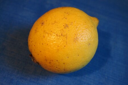 Yellow vitamin c citrus photo