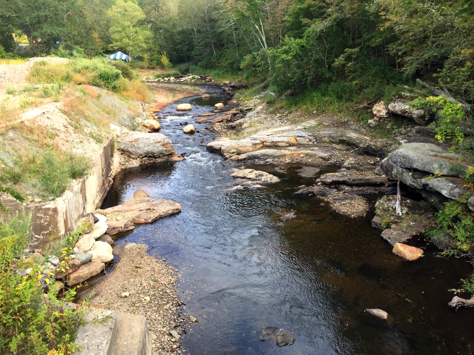 Norton Mill Dam Removal