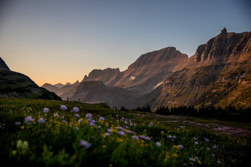 Logan Pass and the Garden Wall in August splendor.