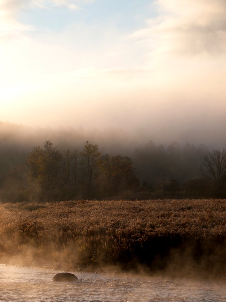 Early morning fog on the Deerfield River