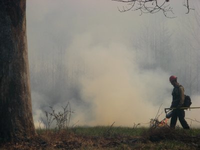 Igniting grassland burn with drip torch
