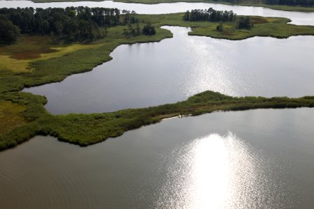 Hail Cove from above