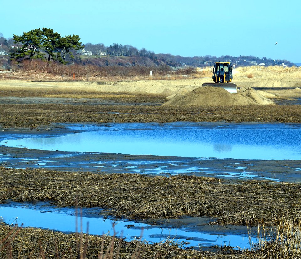 Maidford Marsh at Sachuest Point NWR undergoing restoration