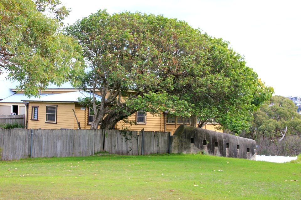 Taronga-Middle-Head-060716-115