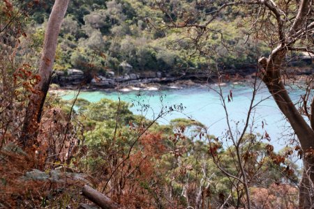 Taronga-Middle-Head-060716-053