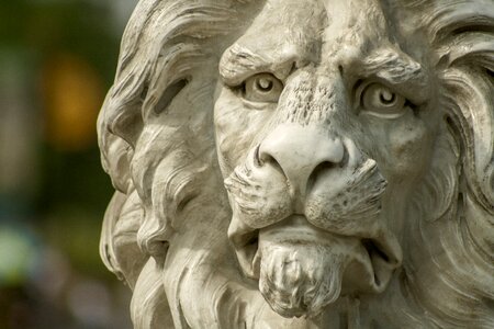 Statue bust animal