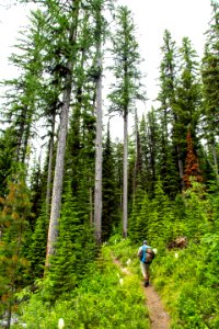Quartz Lake Trail over Cerulean Ridge