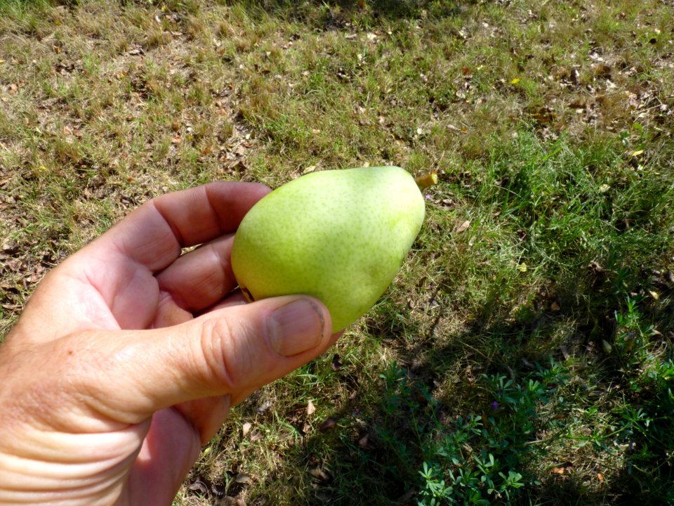 P1260427