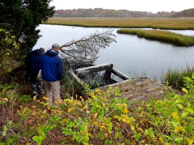 U.S. Fish and Wildlife Service staff assess clogged inlet at old culvert along Ray Peck Drive to be replaced