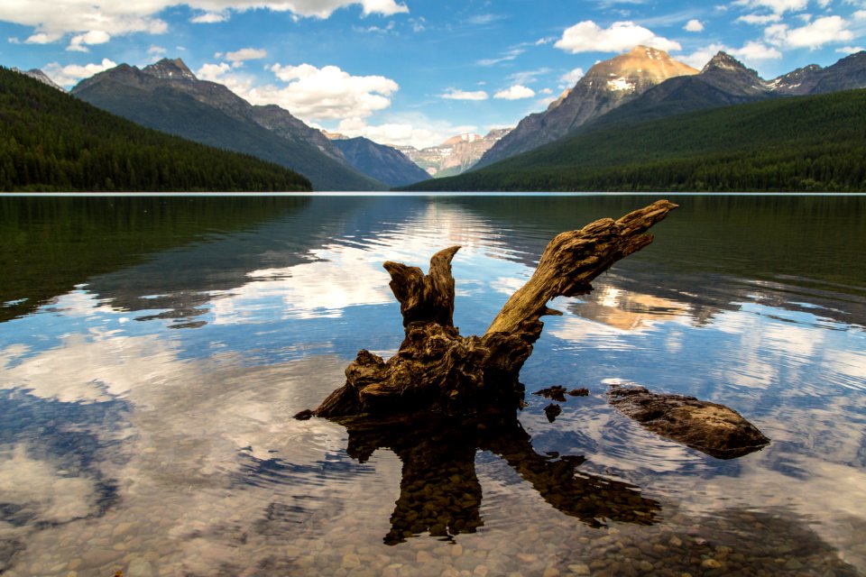 Bowman Lake 6.23.16 photo