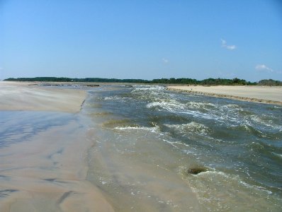 Breach at Swans Cove