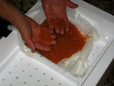 Hatchery receives lake trout eggs