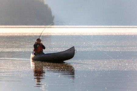 Quartz Lake Fish Project 32 photo