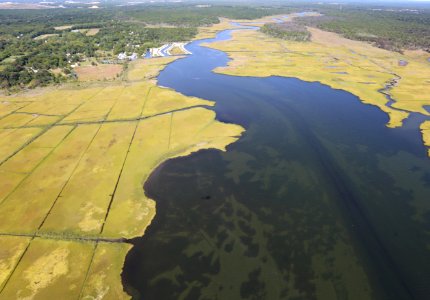 Aerial view of coast marsh at Wertheim National Wildlife Refuge - 2016 photo