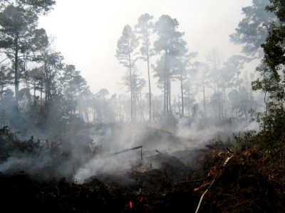 Smoldering Division Bravo