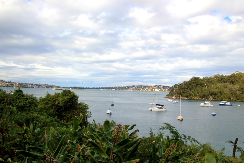 Taronga-Middle-Head-060716-022