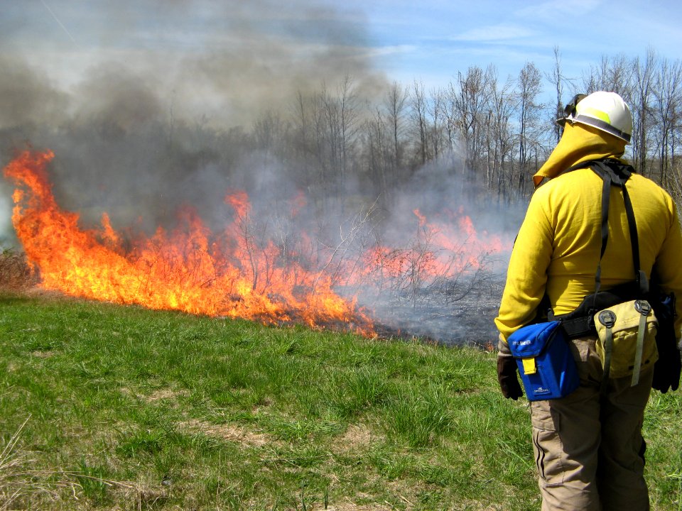 Photo of the Week - Fire management officer during a controlled fire at Iroquois National Wildlife Refuge, NY