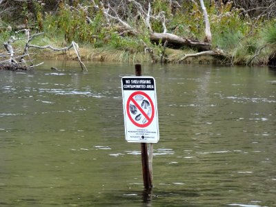 Current high bacterial counts should decrease with improved tidal flow