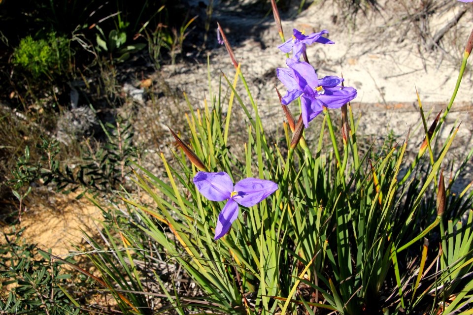 Bundeena-100816 62