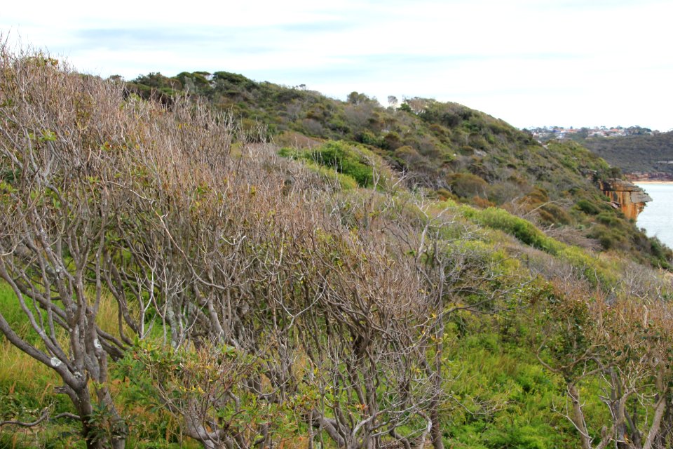 Taronga-Middle-Head-060716-100