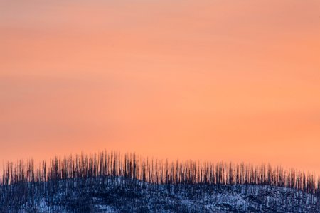 Pastel Sunrise over Howe Ridge photo