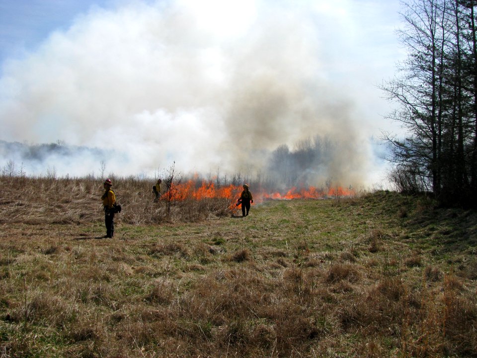 Lighting Grassland Burn