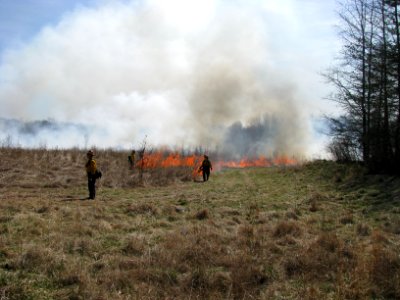 Lighting Grassland Burn