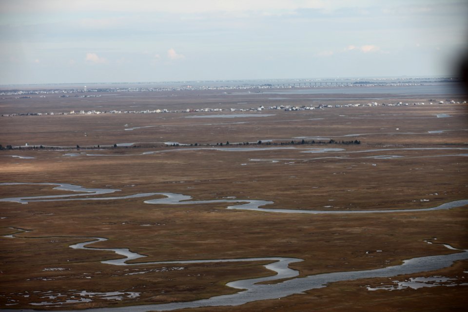E.B. Forsythe National Wildlife Refuge (NJ)