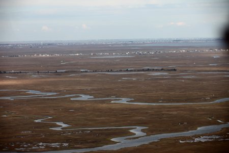 E.B. Forsythe National Wildlife Refuge (NJ)