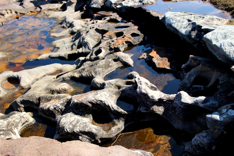 Bundeena-100816 29