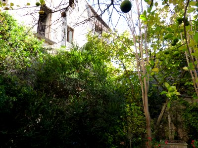 P1270825