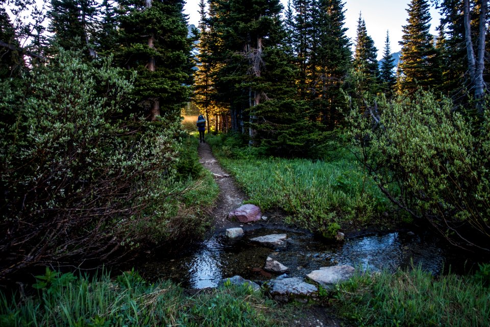 Gunsight Lake Trail