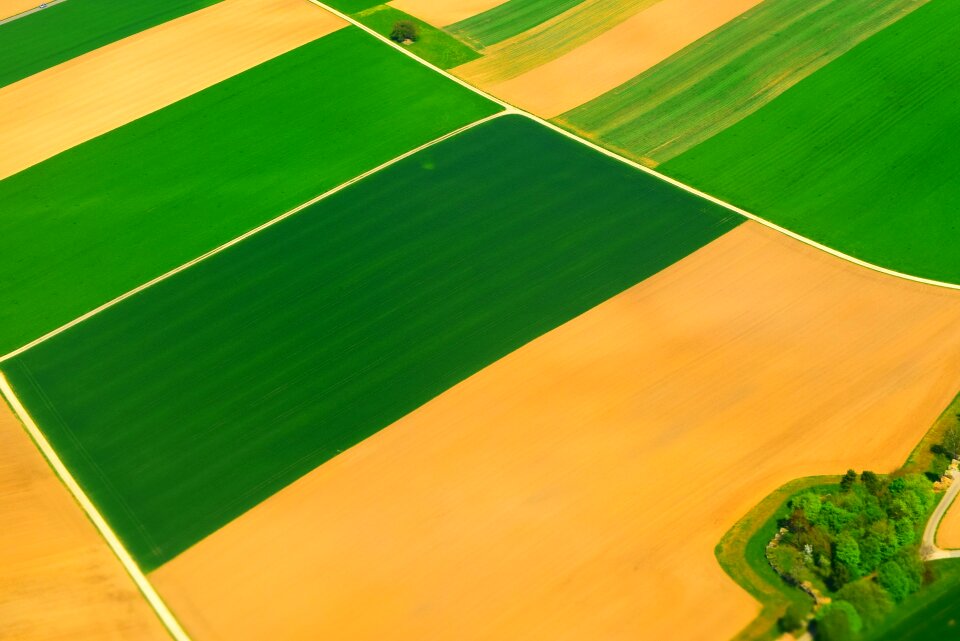 Agriculture green yellow