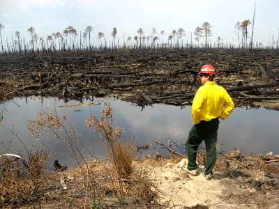 Surveying the fire
