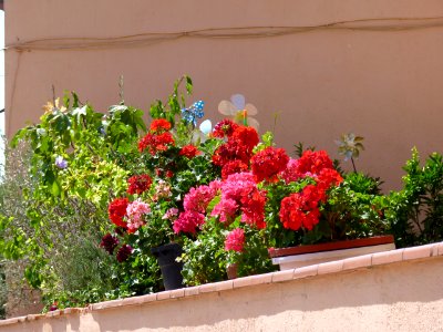 P1260452