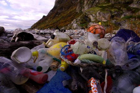 Marine litter. Most often found: Plastic pieces, bottles, rope, floats and buoys. photo