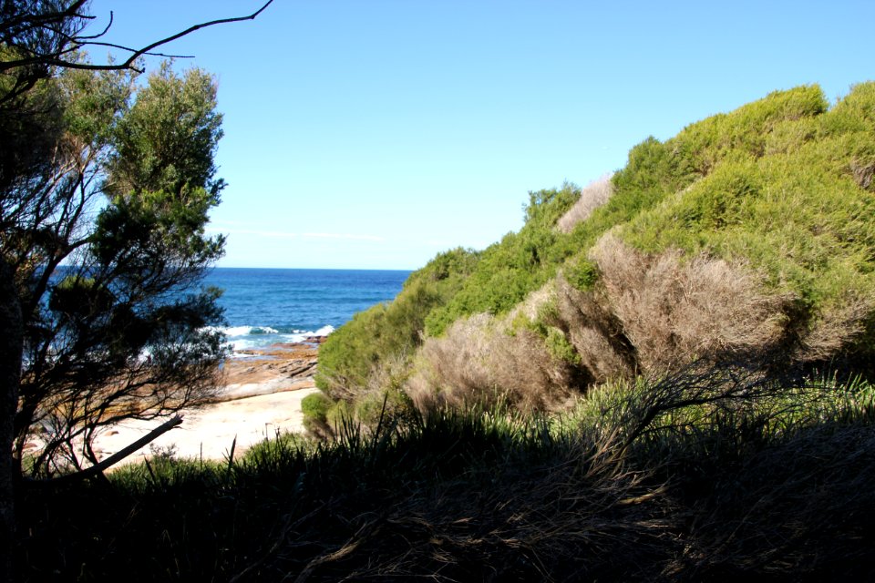 Bundeena-100816 49