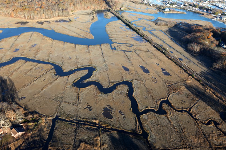 Marsh at Stewart B. McKinney National Wildlife Refuge (CT)