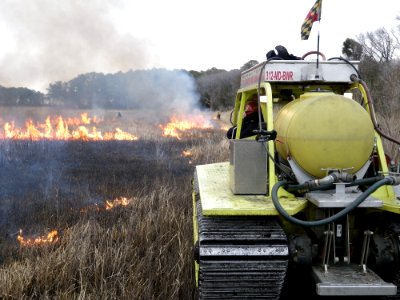 Marshmaster at Maryland Wildlife Refuge